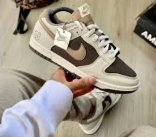  Nike Dunk Low Hiking in the mountains and wilderness DR9704-200 review 