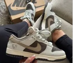  Nike Dunk Low Hiking in the mountains and wilderness DR9704-200 review Nathan