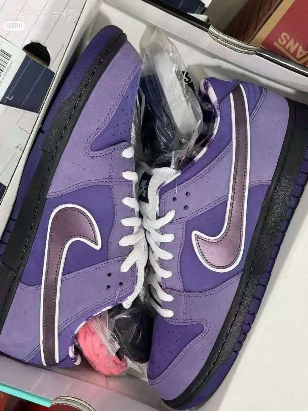 Nike SB Dunk Low Concepts Purple Lobster BV1310555 review VALENTINE 01