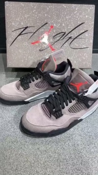 Air Jordan 4 Retro Taupe Haze DB0732-200 review Roy