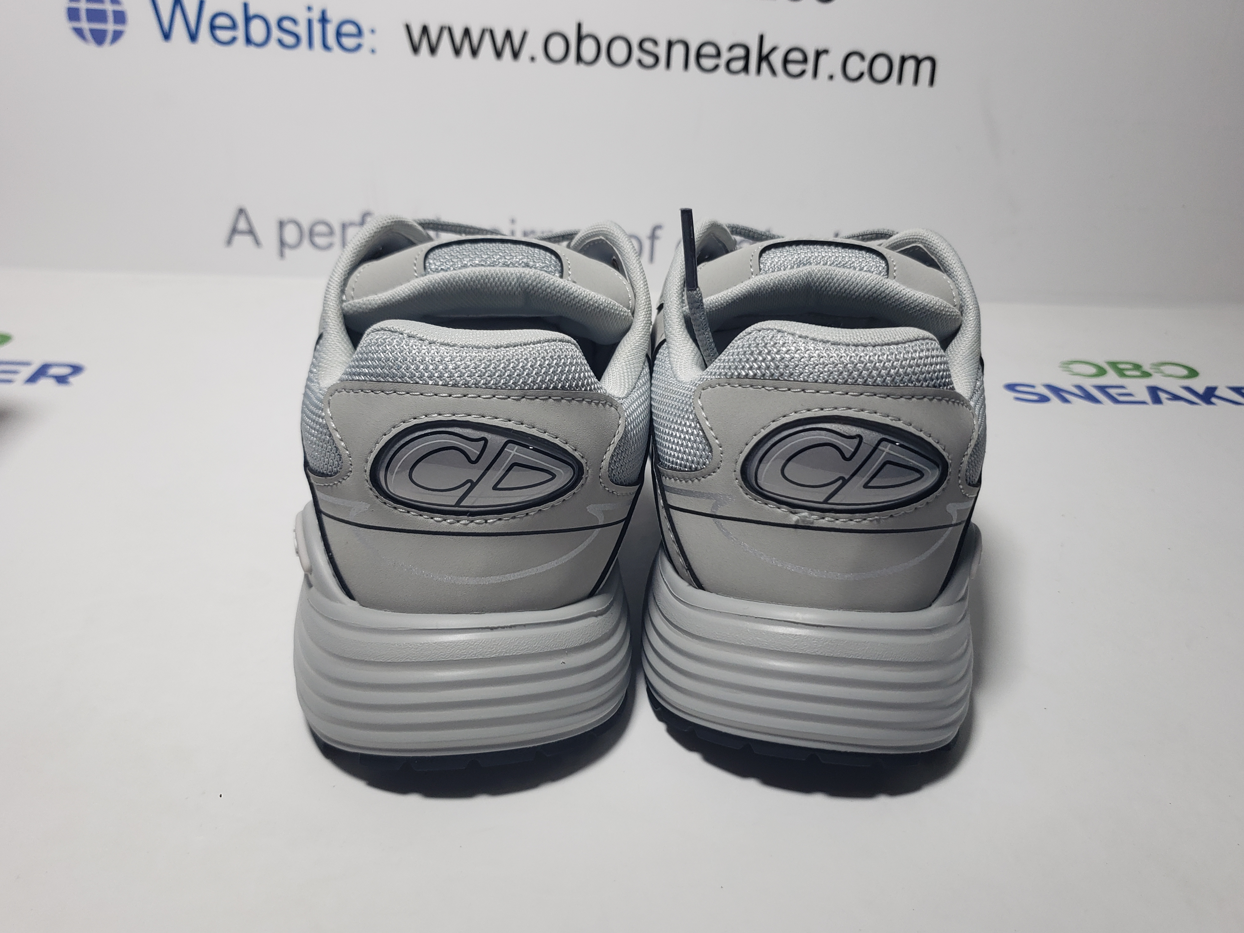 Dior B30 Gray Gray   3SN279ZND-H860 review Obosneaker 02
