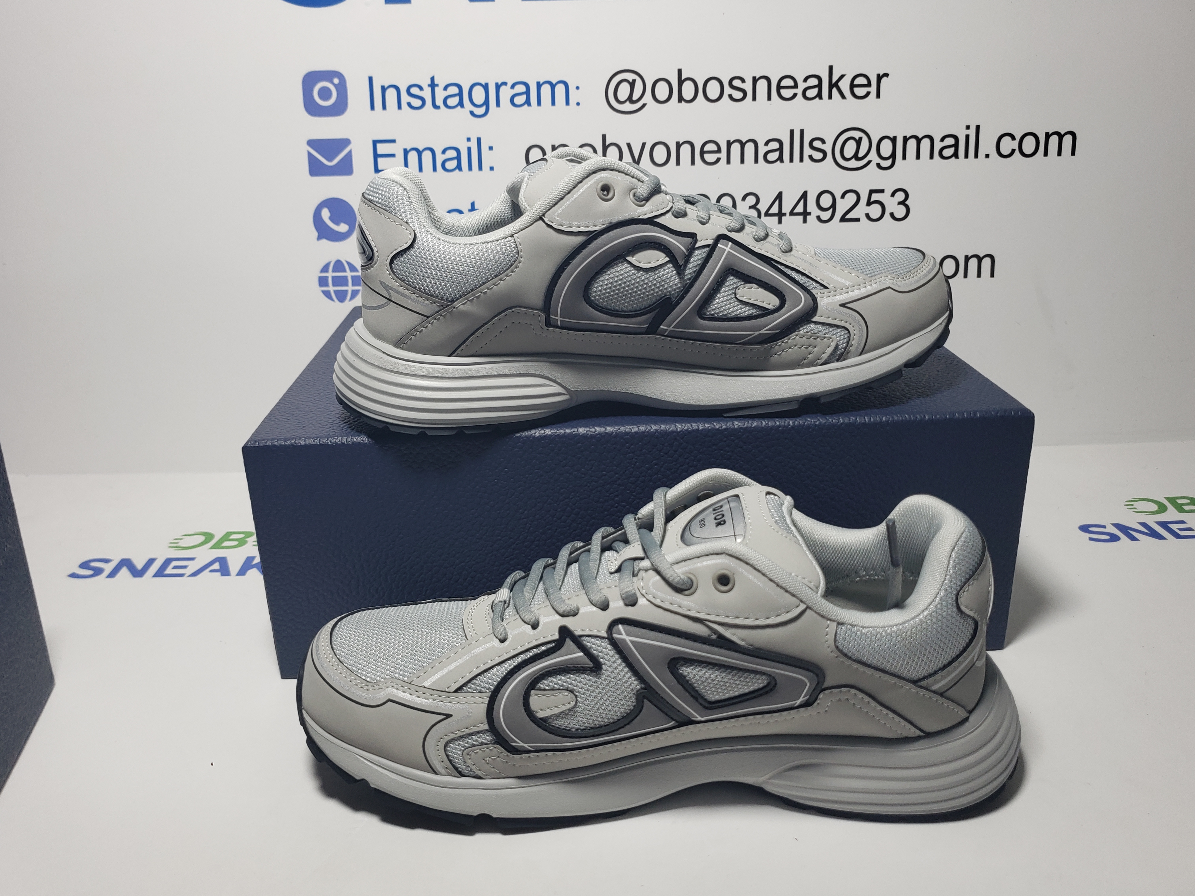 Dior B30 Gray Gray   3SN279ZND-H860 review Obosneaker 01