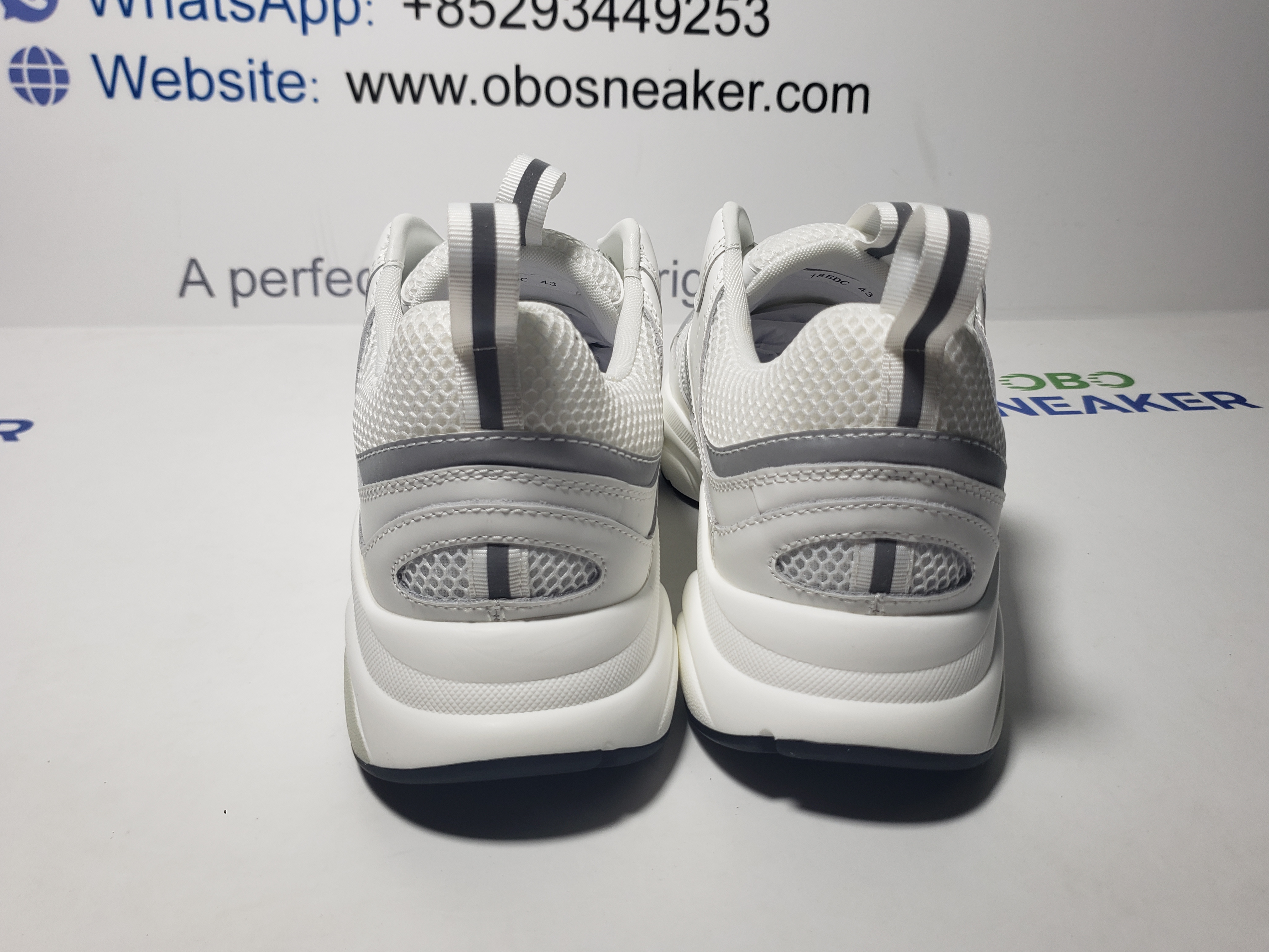 Dior B22 White Silver 3SN231YJG_H000 review Obosneaker 02