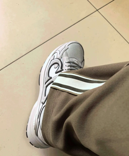 Dior B30 Gray Gray   3SN279ZND-H860 review 