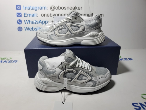 Dior B30 Countdown Sneaker Gray White review 