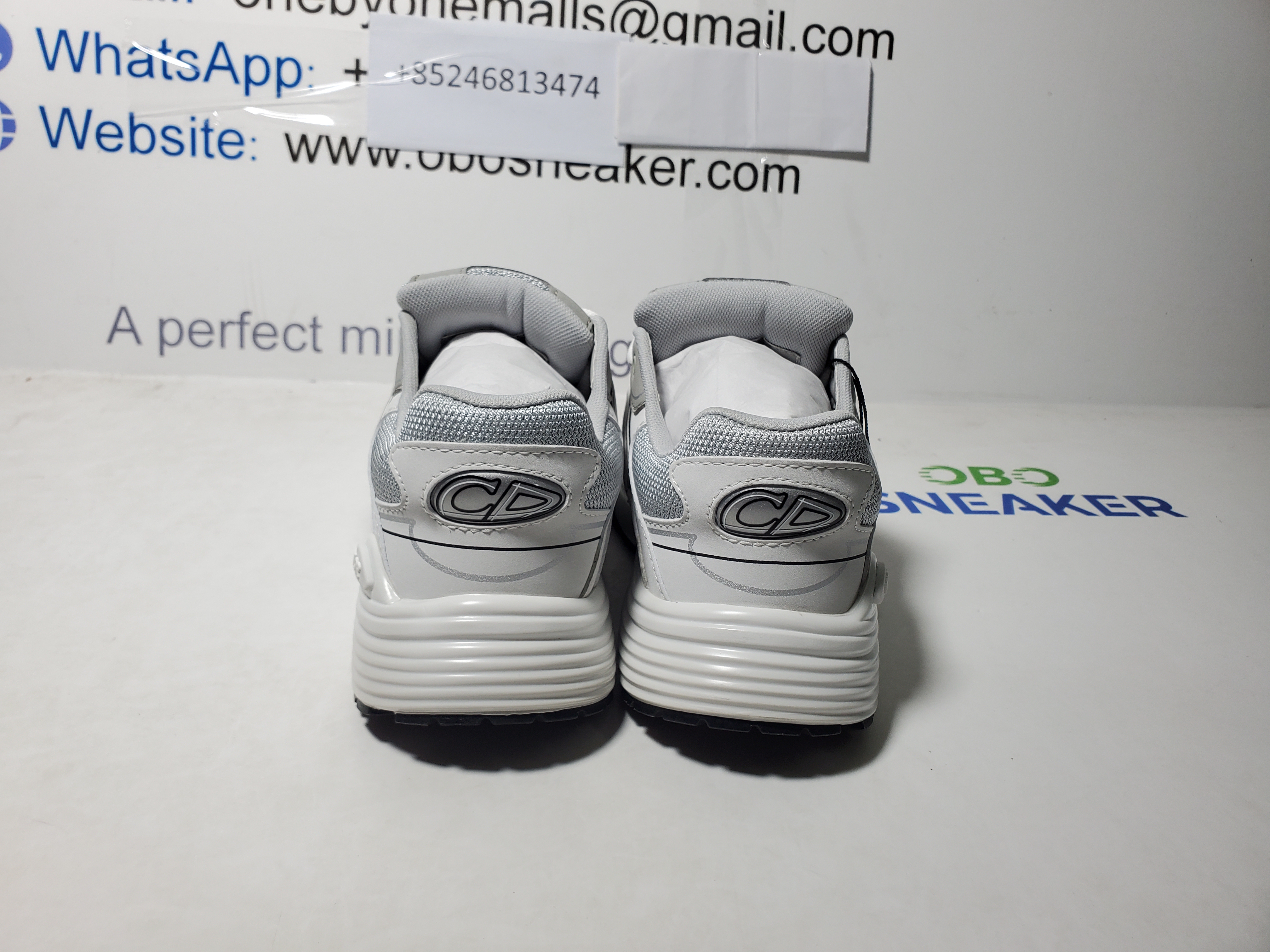 Dior B30 Countdown Sneaker Gray White review Obosneaker 02