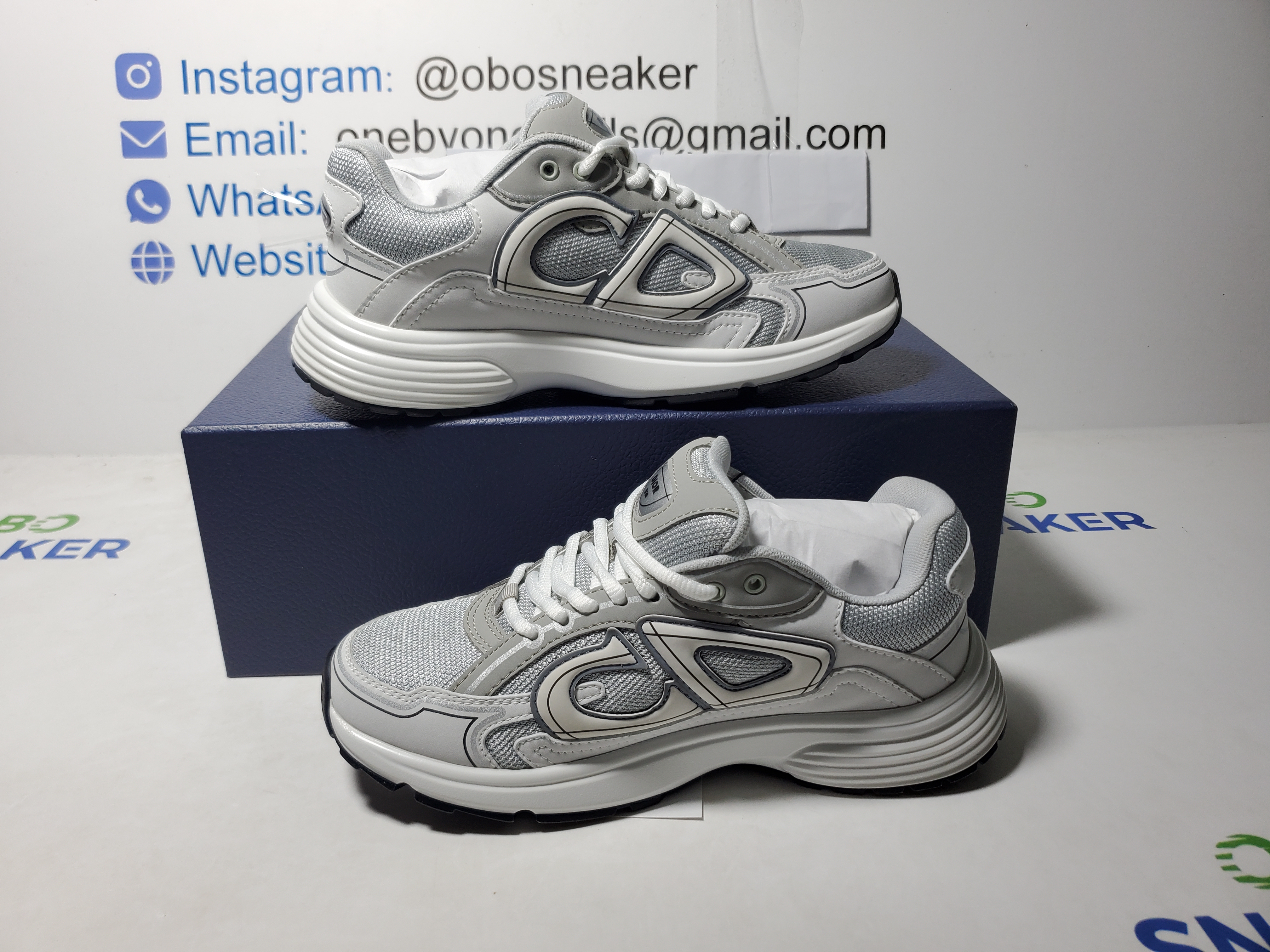 Dior B30 Countdown Sneaker Gray White review Obosneaker 01