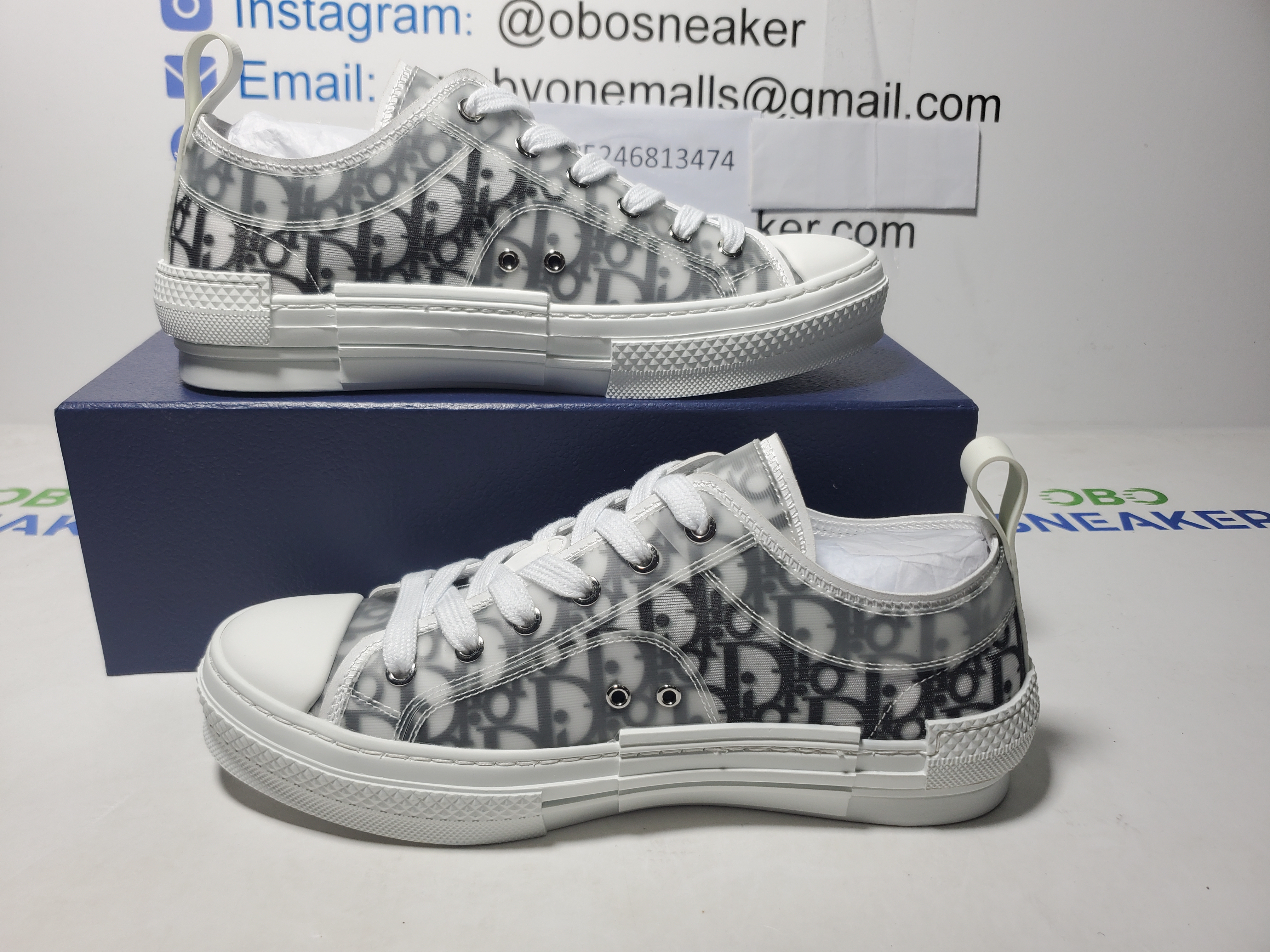 Dior B23 Low Top Logo Oblique  3SN249YJP_H069 review Obosneaker 01