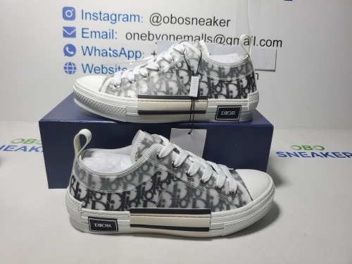 Dior B23 Low Top Logo Oblique  3SN249YJP_H069 review 