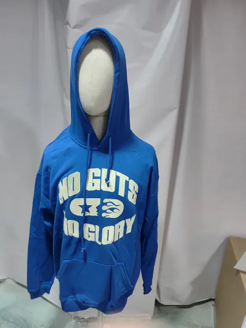 Hellstar No Guts No Glory Hoodie Blue review 