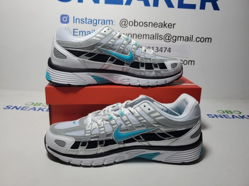 Nike P-6000 Dusty Cactus CD6404-103 review 