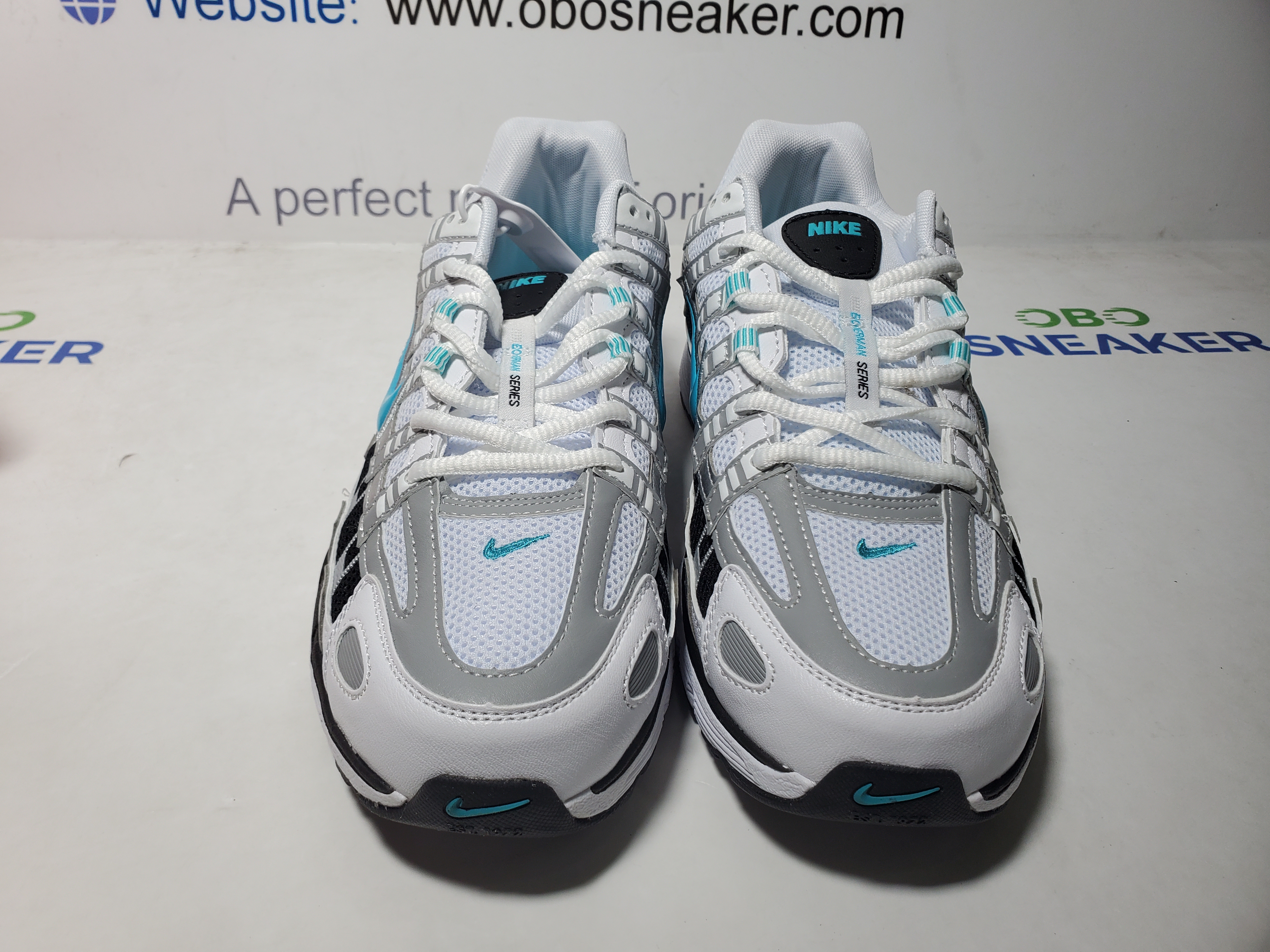 Nike P-6000 Dusty Cactus CD6404-103 review Obosneaker 03