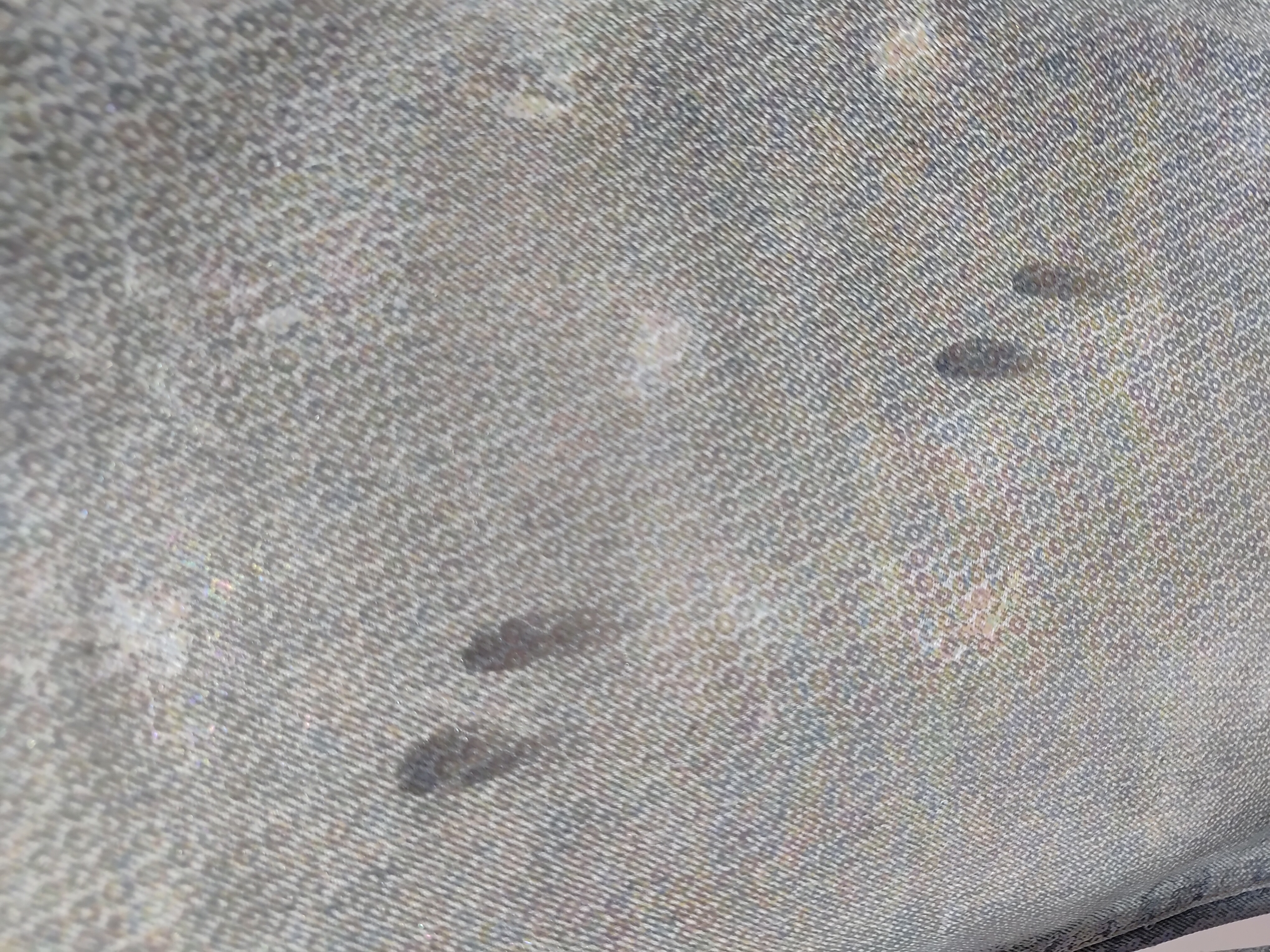 Sp5der Beluga Hoodie Heather Grey + Purple Brand Jeans #108 review Obosneaker 03