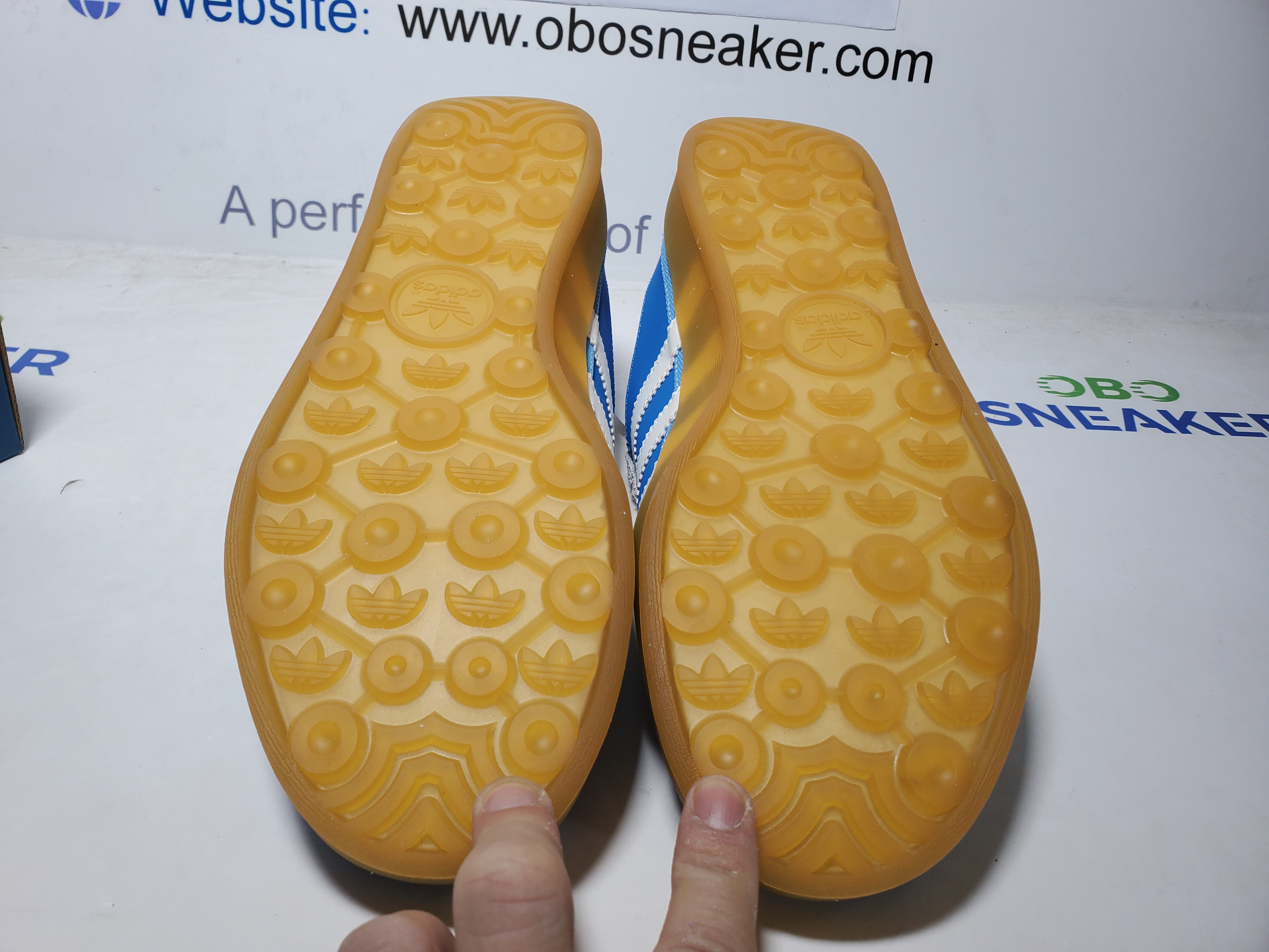 Adidas x Bad Bunny Gazelle Indoor San Juan IF9734 review Obosneaker 05