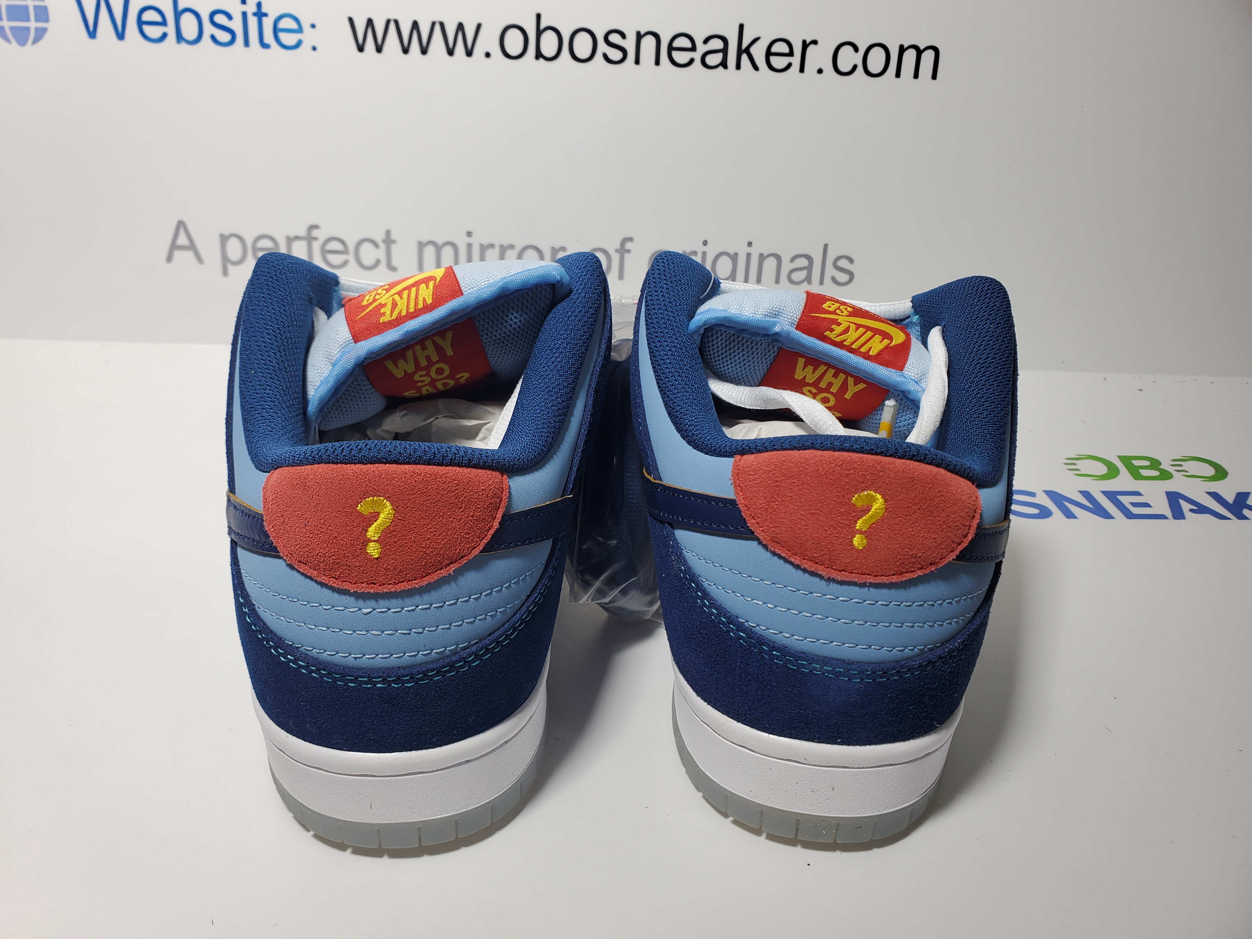 Nike SB Dunk Low Pro Why So Sad?  DX5549-400 review 2