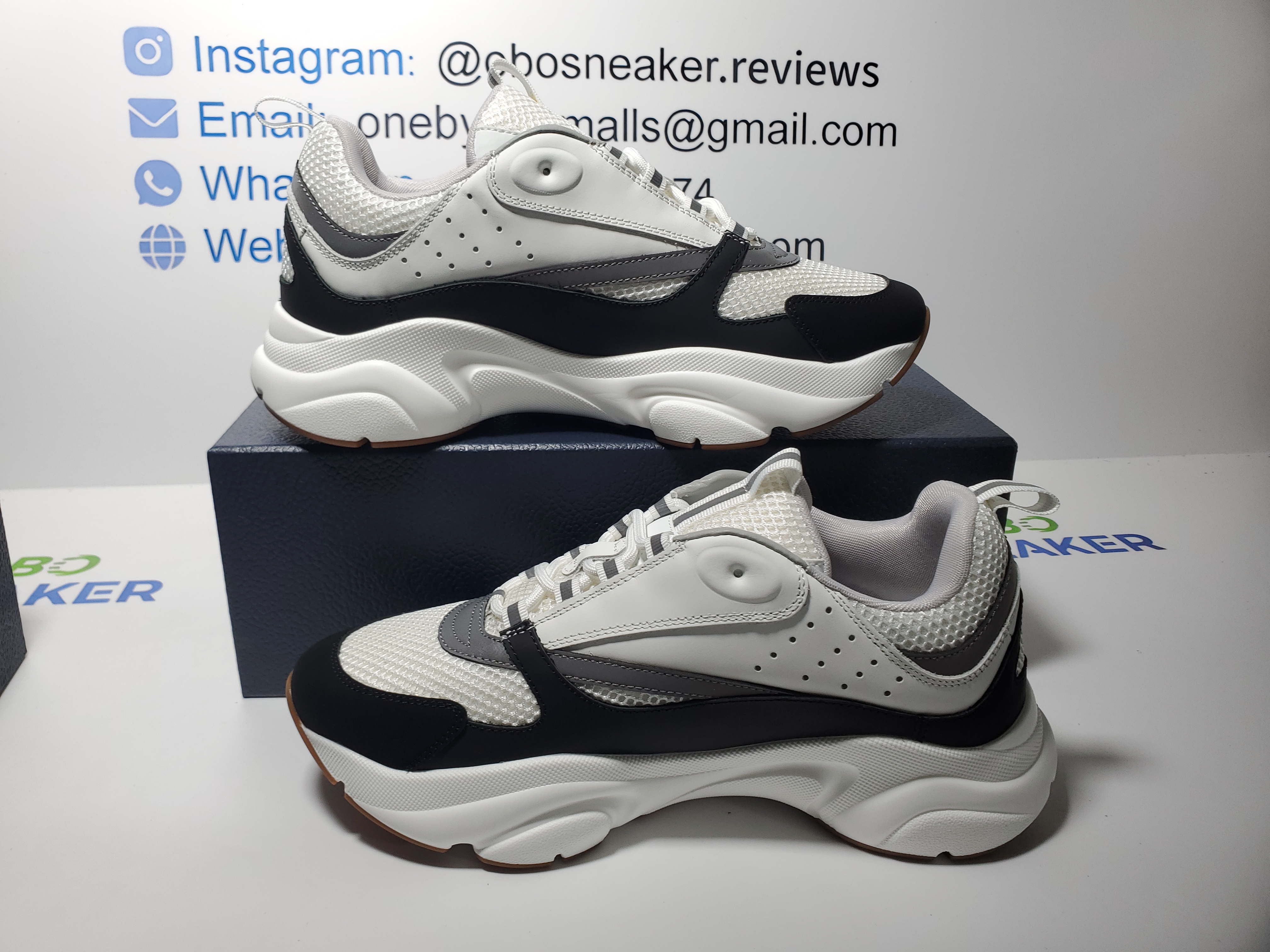 Dior B22 White Black  3SN231YKB_H968 review 1