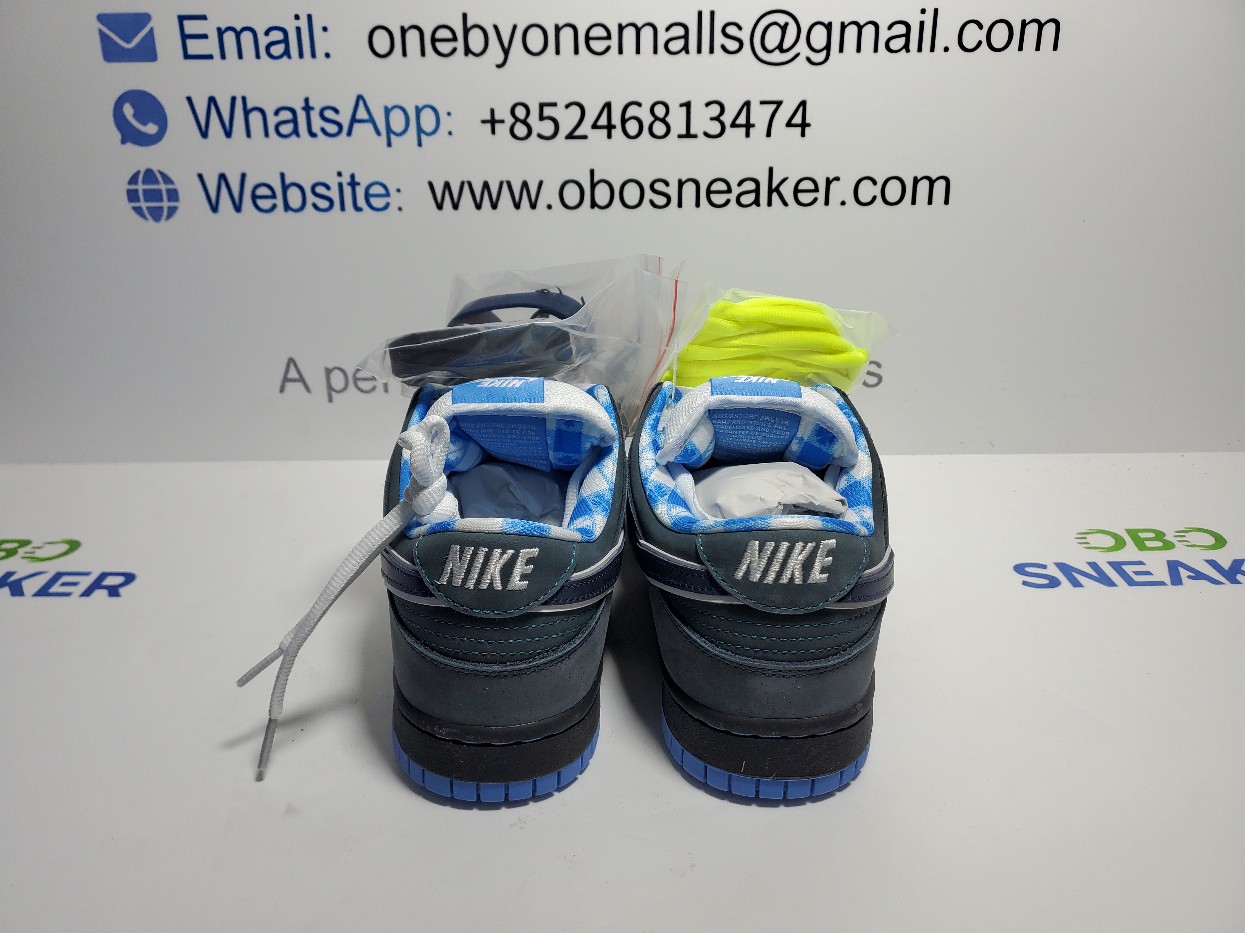 Nike SB Dunk Low Concepts Blue Lobster 313170-342 review 1