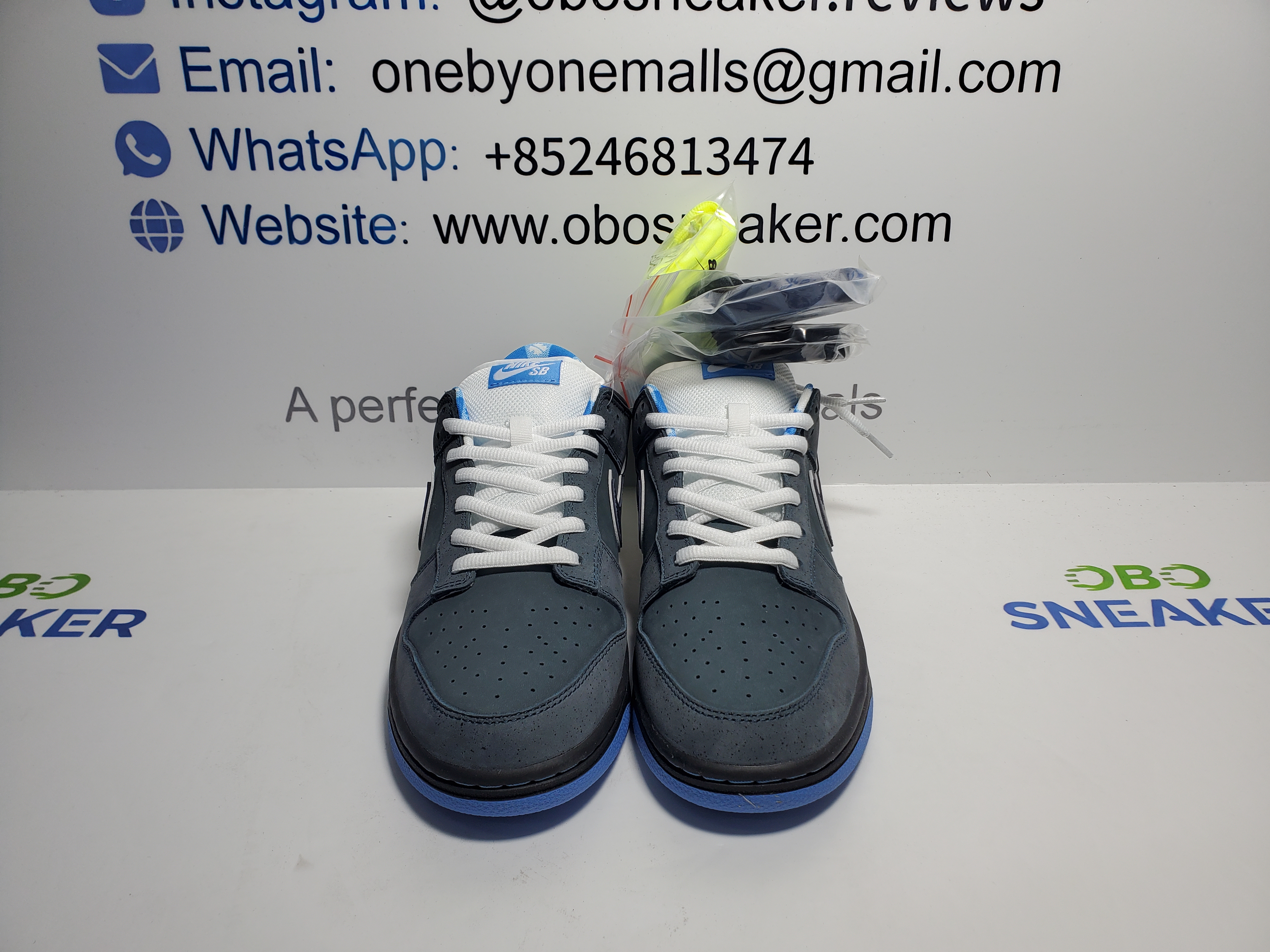 Nike SB Dunk Low Concepts Blue Lobster 313170-342 review 3