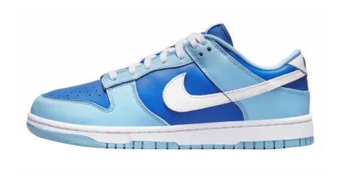 Nike Dunk Low Argon 2022