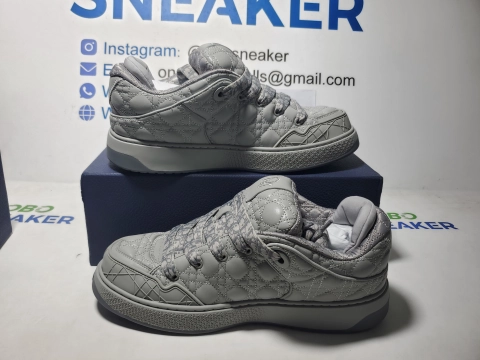 Obosneaker QC Pics :Dior B9S Skater ERL Kumo Cannage Satin Grey