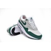 Special Sale Air Max 1 Anniversary Green (2020)，DC1454-100