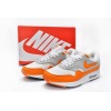 Special Sale Air Max 1 Anniversary Orange (2020)，DC1454-101