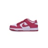 OG Dunk Low Archeo Pink，DD1503-111