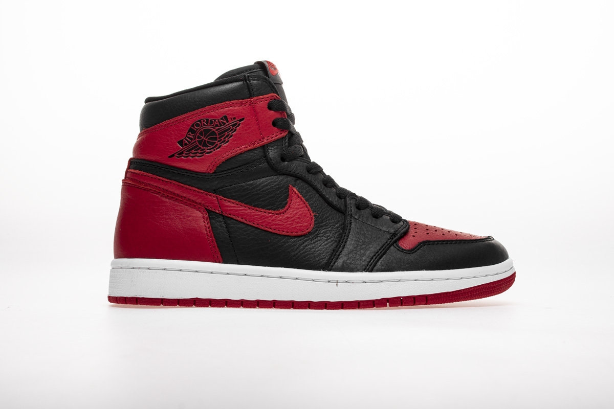 OG Jordan 1 Retro High Homage To Home (Non-numbered)