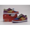 PKGoden Dunk Low Viotech (2019),CT5050-500