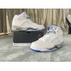 PKGoden Jordan 5 Retro White Stealth (2021),DD0587-140