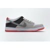 PKGoden SB Dunk Low Infrared Orange Label,CD2563-004