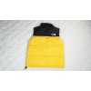 The North Face Yellow Color Yellow