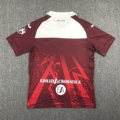 Best Reps Serie A 23/24 Torino F.C. Limited edition  Soccer Jersey