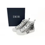  Dior B23 Oblique Low Top Sneakers