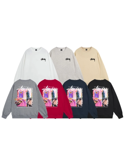  Stussy Hoodie XB505 01