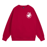  Stussy Hoodie XB518