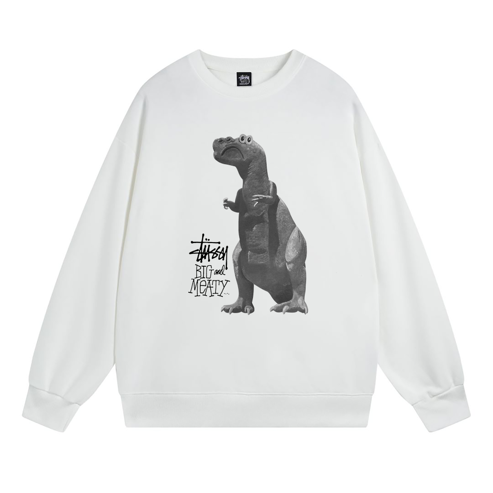  Stussy Hoodie XB528