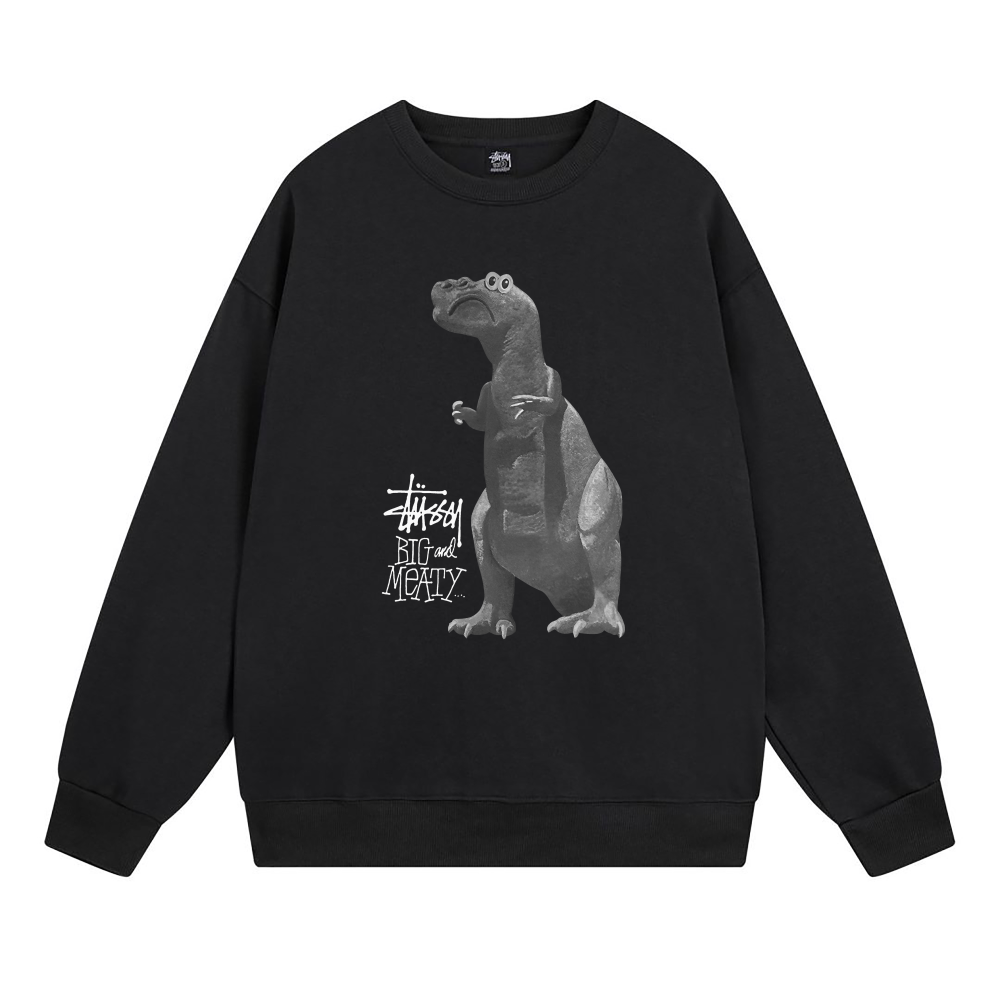  Stussy Hoodie XB528