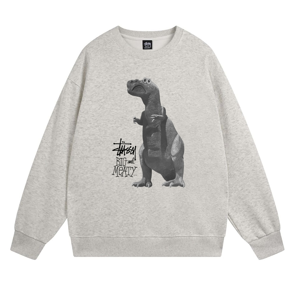  Stussy Hoodie XB528