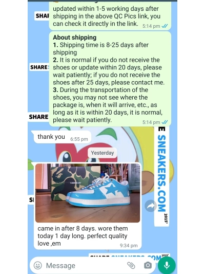 PKGoden   Bapesta Sk8 Sta Low Blue 1G70-109-0015 02