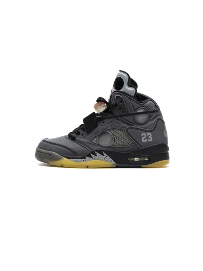 PKGoden Jordan 5 Retro Off-White Muslin, CT8480-001 01