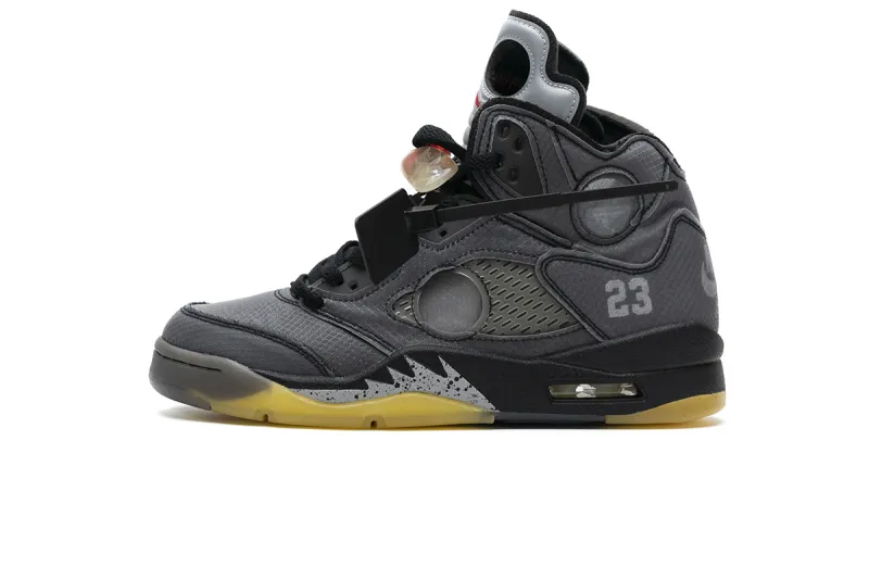 Jordan 5 Retro Off-White Muslin, CT8480-001
