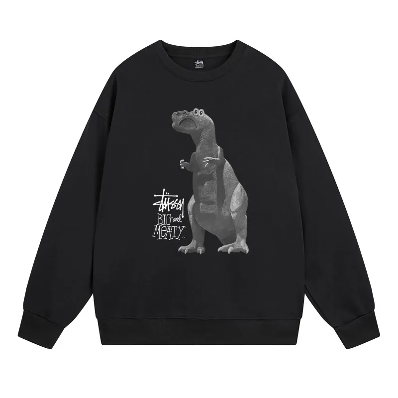  Stussy Hoodie XB528