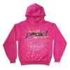 Sp5der Worldwide Pink Punk Hoodie