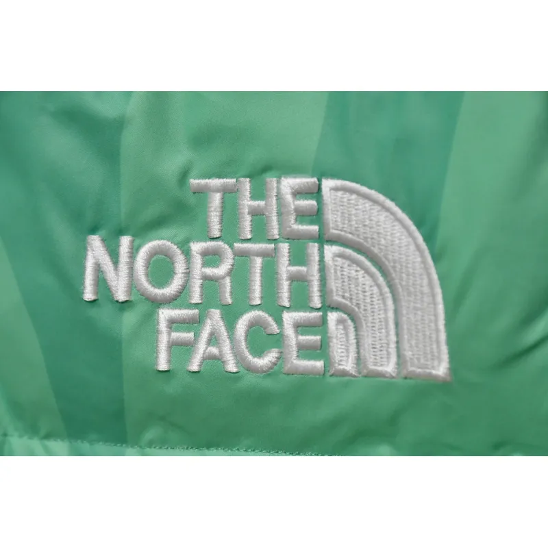 PKGoden  |  TheNorthFace Nuptse Vest Green CamouFlage