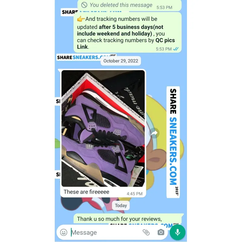 PKGoden  |   Jordan 4 Retro Purple x Travis Scott, AJ4-766302