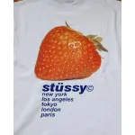 Stussy T-Shirt XB959