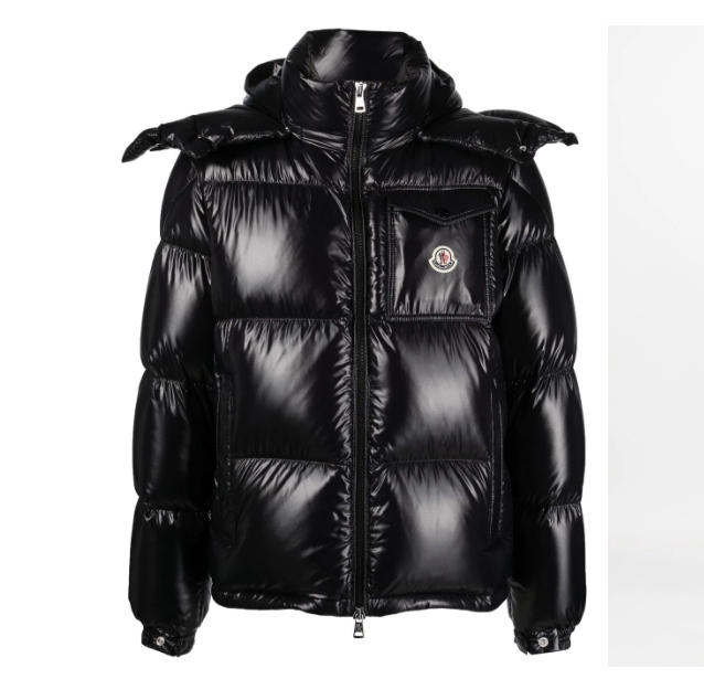 Moncler montbeliard puffer Down jacket