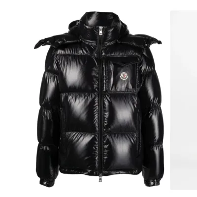 Free Shipping: Moncler montbeliard puffer Down jacket 01