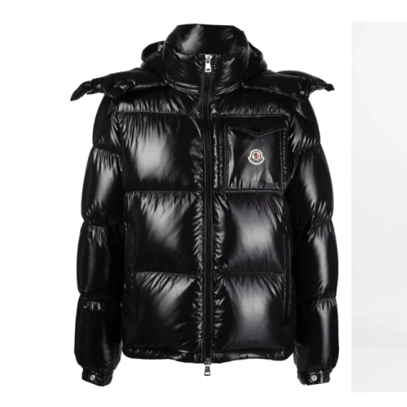 Moncler montbeliard puffer Down jacket